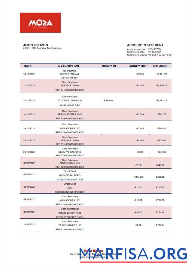 Realistic Mozambique Moza bank statement word sample